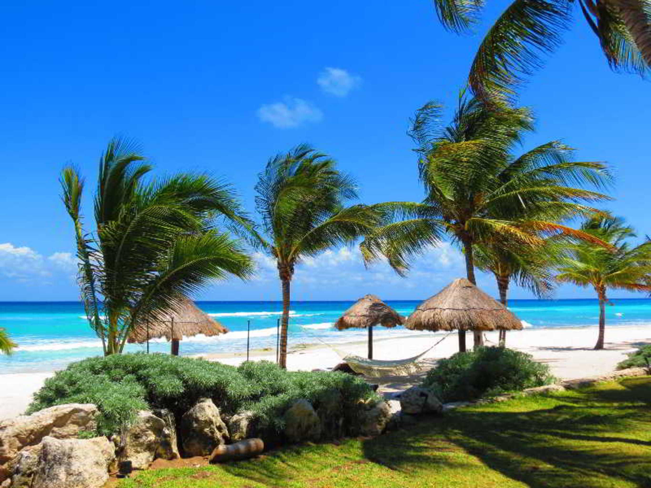 Le Reve By Mij - Beachfront Hotel (Adults Only) Playa del Carmen Eksteriør bilde